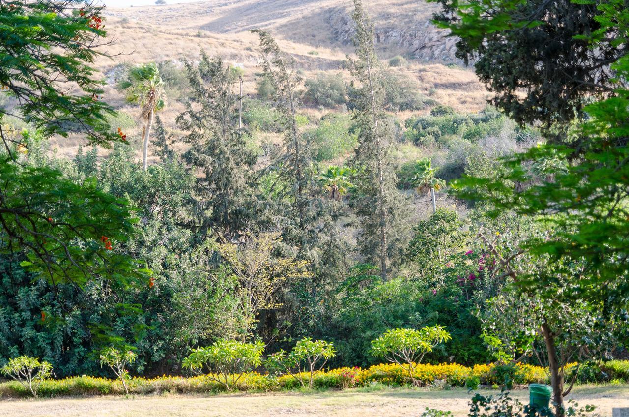 Bait Alfa Kibbutz Country Lodging Bet Alfa Camera foto